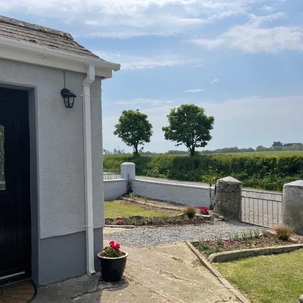 Midsummer cottage, hotel v mestu Wexford