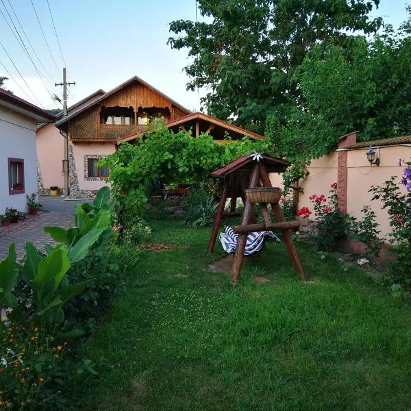 Vila Speranta, hotel in Pleşcoi