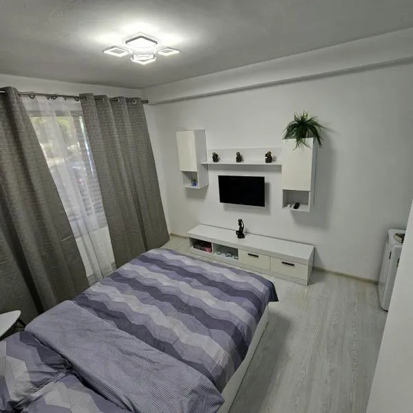 Apartament UTA, hotel v destinaci Arad
