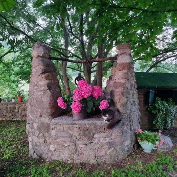 Agriturismo Case in Collina, hotell sihtkohas Volta Mantovana