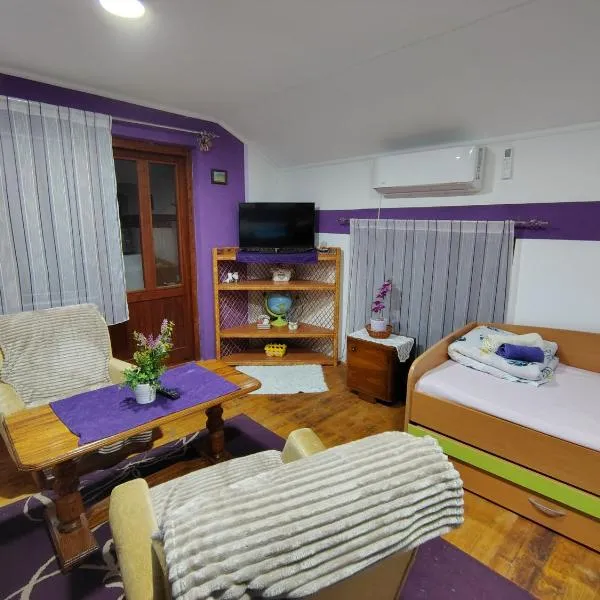 Smestaj Bojanine Vode, hotel in Niš