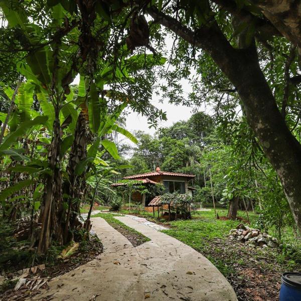 Cabana Romântica - Natureza, fogueira e cachoeiras - Foto 5