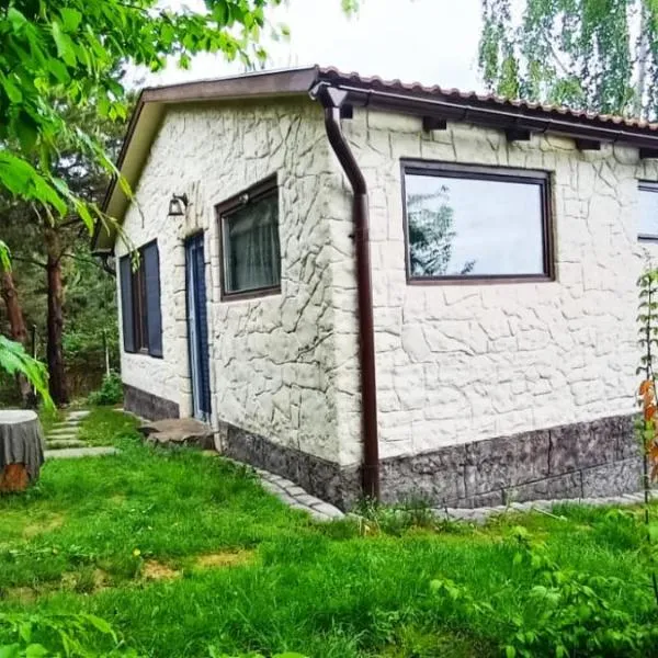 Forest Hide Tiny House, hotel v destinaci Covasna