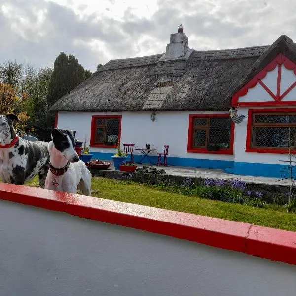 Aisling Cottage, hotell sihtkohas Youghal