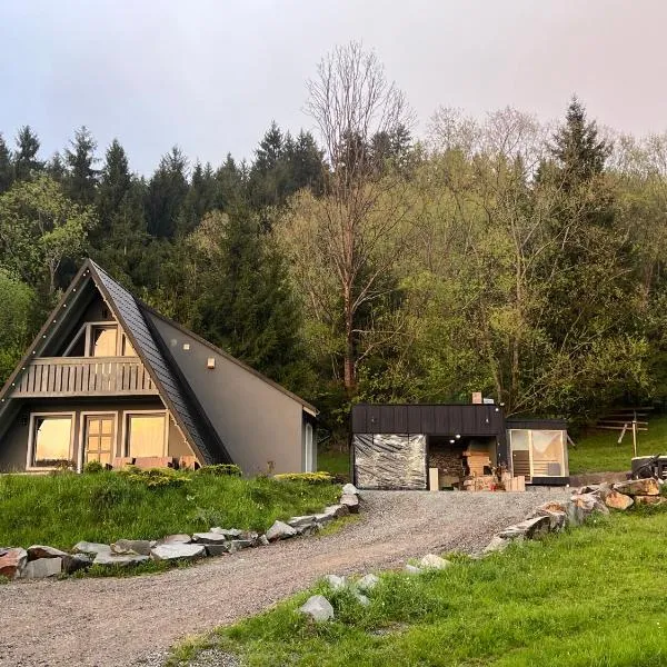 Cabana Doinița, hotel v destinaci Borşa