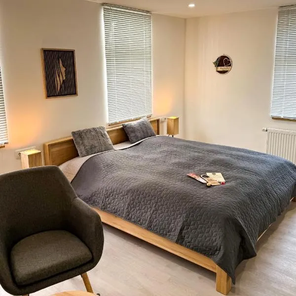 Pension Goldener Zwinger, hotel v destinaci Meiningen