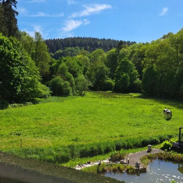 EL MIRADOR - Ferienwohnung Nähe Nürburgring - Eifel - Ahr - Rhein - RENOVIERT, hotel v destinaci Kempenich