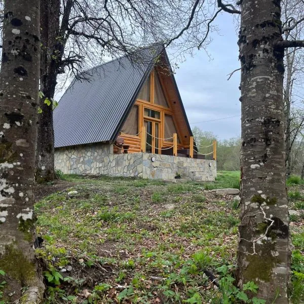 Holiday Home Veruša, hotel v destinaci Podgorica
