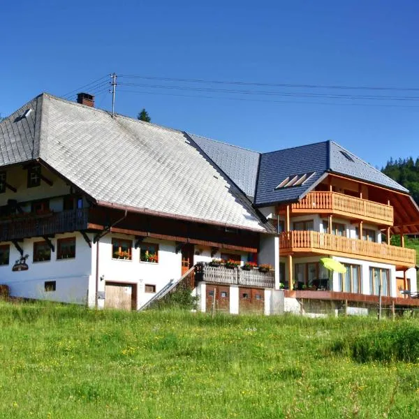 Bürschtehanse-Hof, hotel a Ibach