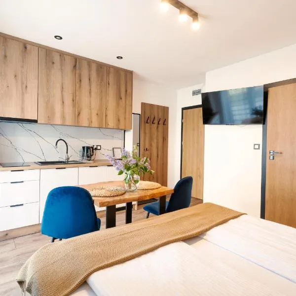 Apartamenty Pod Wyciągiem, hotel ve Visle
