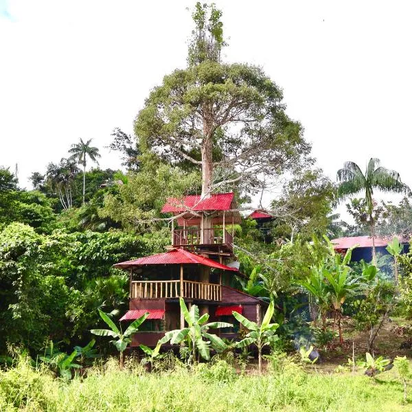 Reserva Natural Natura Park、Puerto Nariñoのホテル