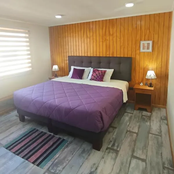 Hostel Rogiel - Recojo desde el Aeropuerto incluído, hotel en Santiago