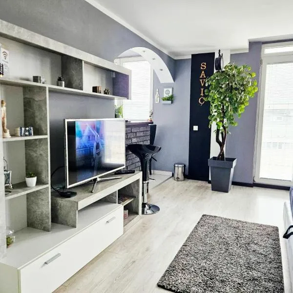 Savić Apartment CENTER - PARKING FREE, hotel in Niš