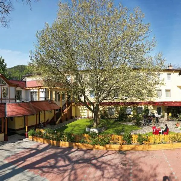 Hotel Payerbacherhof, hotel v destinaci Payerbach