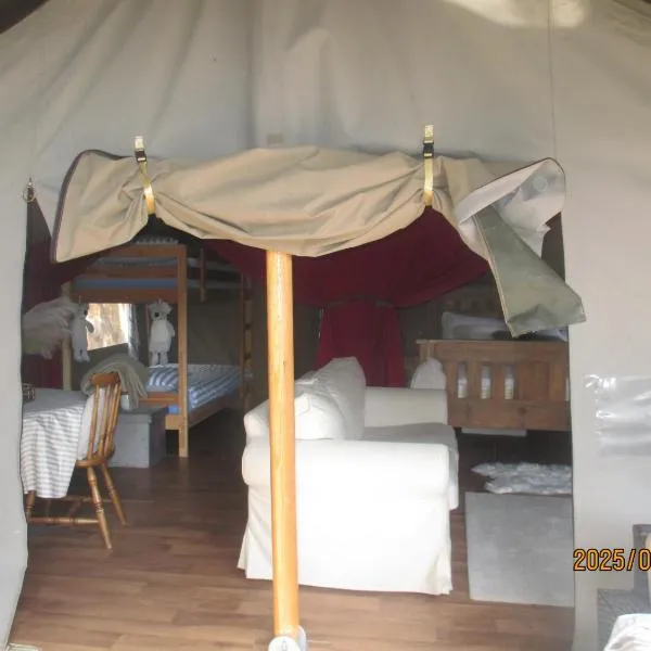 Luxury tree top glamping safari tent, hotel in Killarney