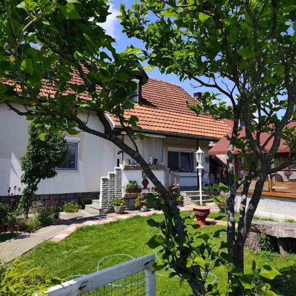 Vila Zvezdane večeri, hotel u gradu Rudnik