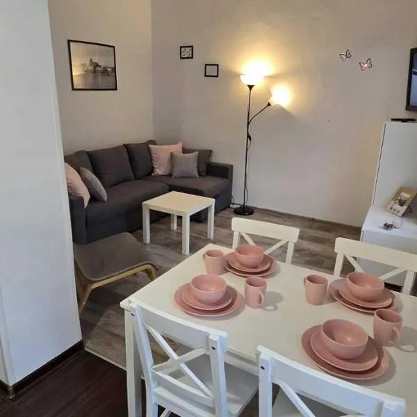 Apartament Przedzamcze, hotel u gradu Torunj