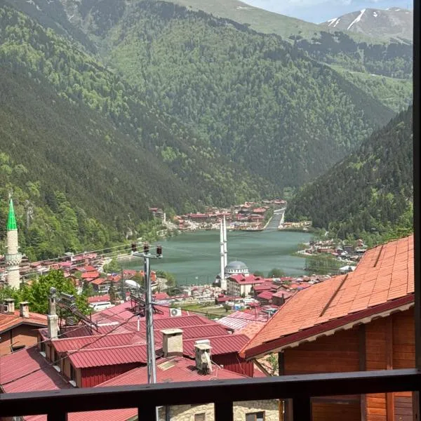 Şimo Suite Otel, hotel in Uzungöl
