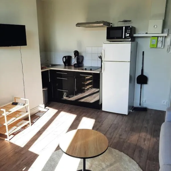 Rent studio 25 m2 city center, Brest, hotel v destinaci Brest