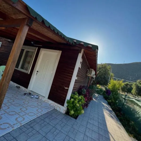 Villa Ajla, hotel v destinaci Borsh