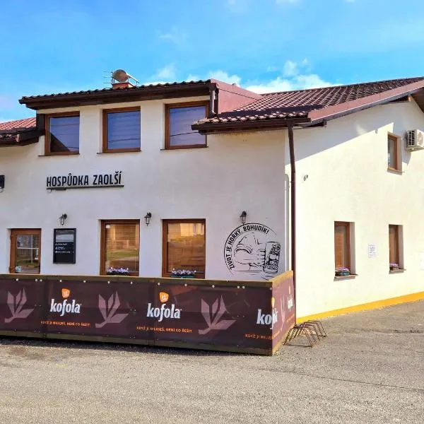 Ubytování Zaolší, hotel v destinaci Vendryně