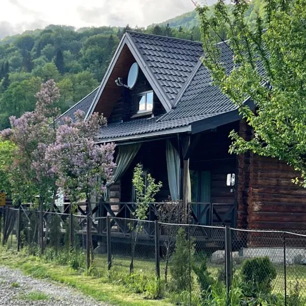 Заворіття, hotel in Sheshory
