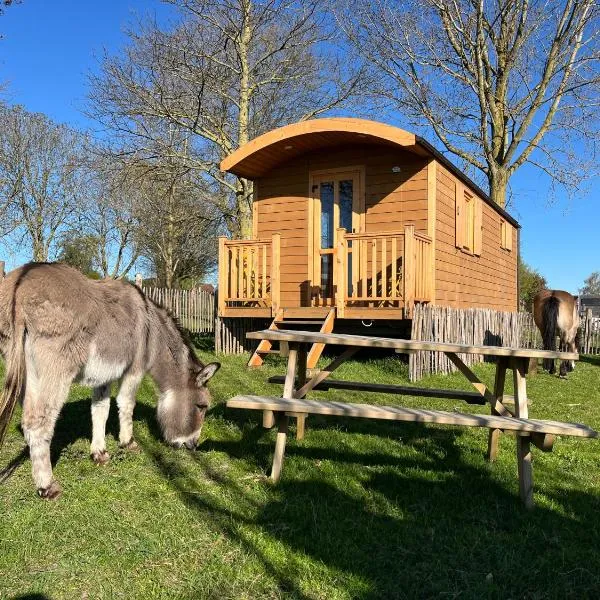 La Roulotte du Moulin de Thimougies, hotel in Tournai