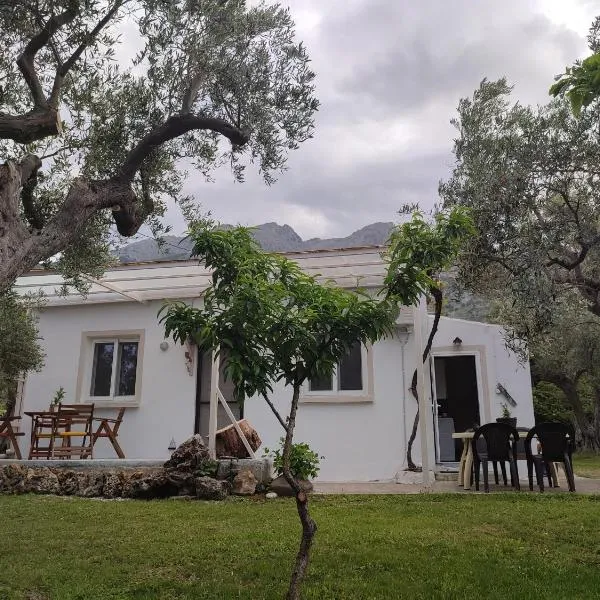 Liostasi Cottage, hotel in Kariotes