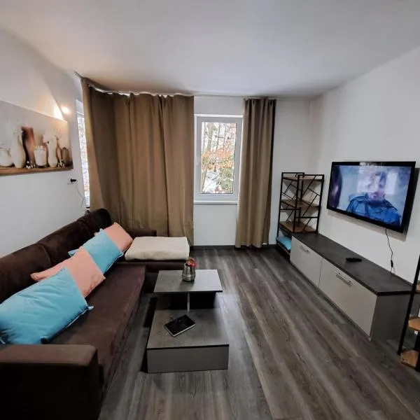 Apartmán Helena pod Klínovcem, hotel v destinaci Karlovy Vary