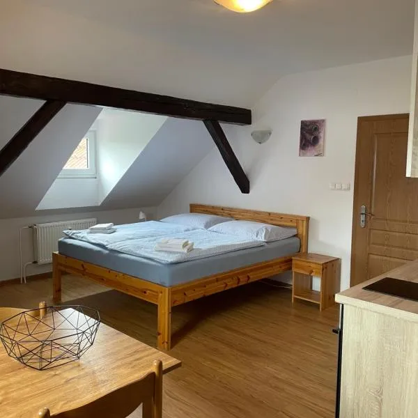 Apartmán V PODKROVÍ，位于霍尼普拉纳的酒店