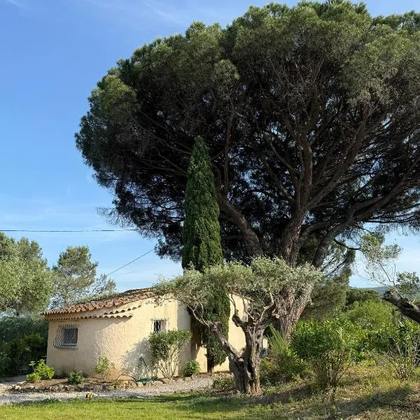 Le mazet du grand pin – hotel w mieście Cogolin