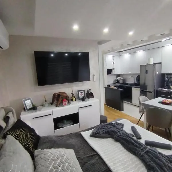 LARI Apartment, hotel in Subotica