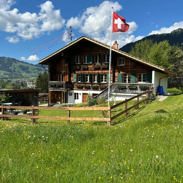 Alpenchalet Haldeli Ferienwohnung, hotel v destinaci Gstaad