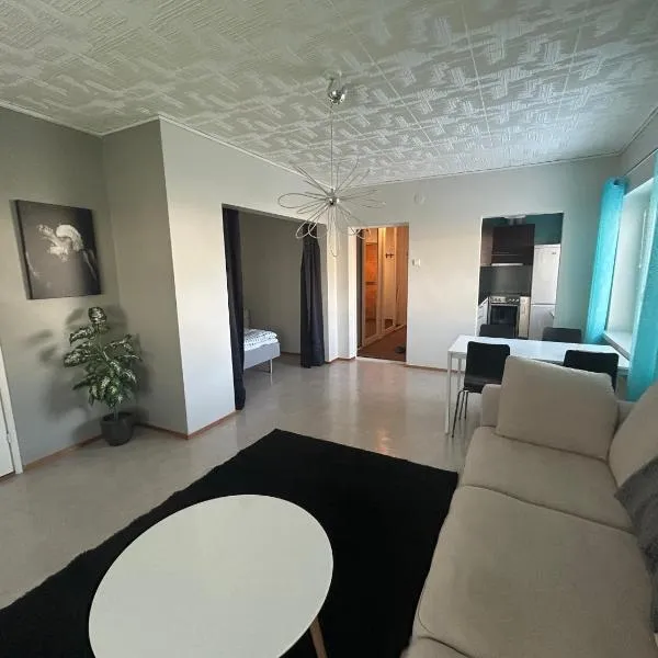 "Nitton" loistava sijainti Tammisaaren keskustassa，坦米薩里的飯店