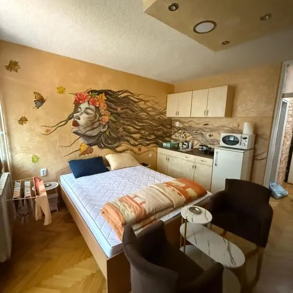 Dudino gnezdo, hotel a Bor