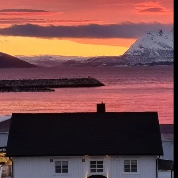 Loftsleilighet midt i sentrum, hotel v destinaci Skjervøy