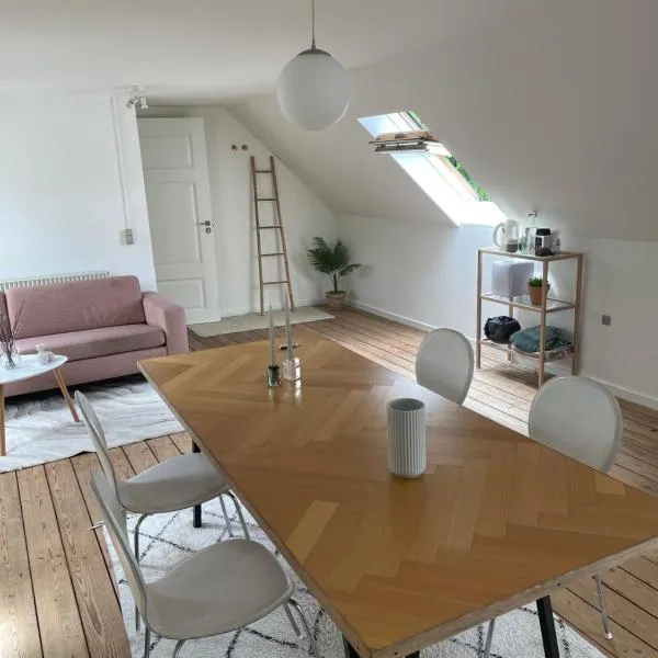 Udlejning af to værelser med udsigt til parken beliggende i centrum, hotel v destinaci Odense