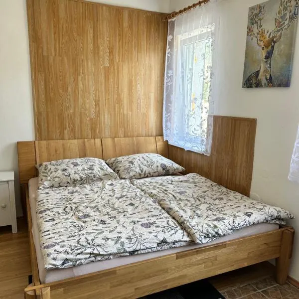 Horský dům, hotel v destinaci Jáchymov