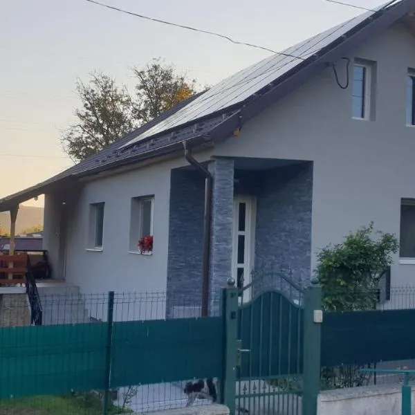 Casa Misha, hotel v destinaci Petreşti