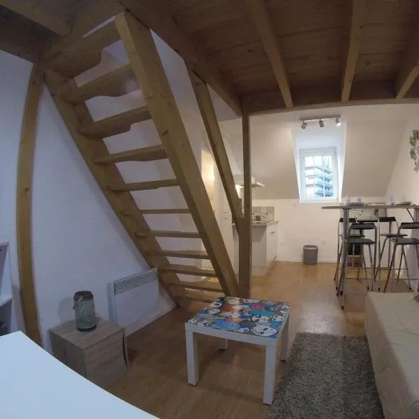 Studio mezzanine des Eaux Vives, hotel en Pau