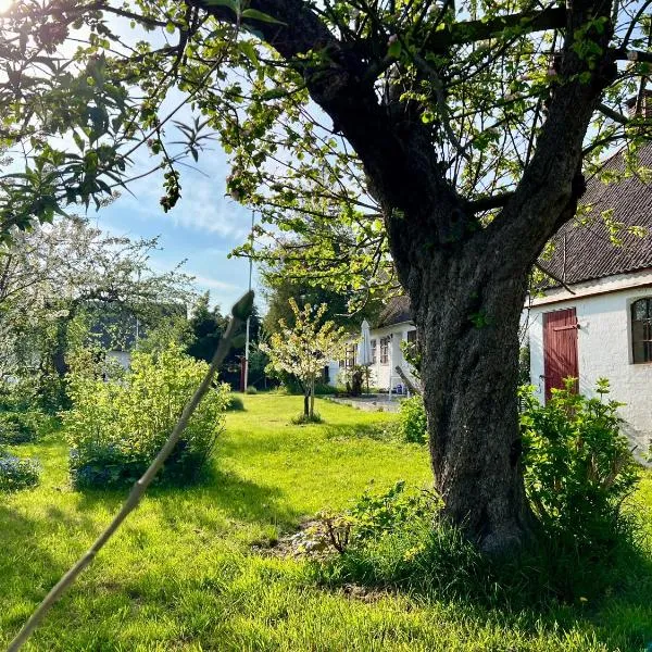 Noorbohandelens Bed & Breakfast, hótel í Stege