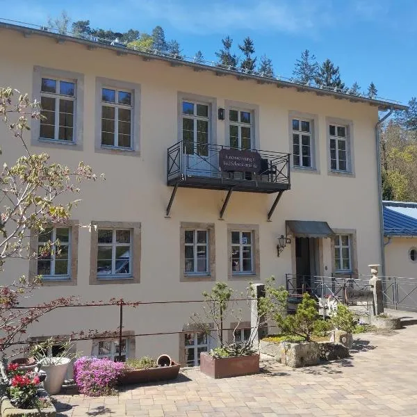 Luxuriöse FeWohnung Felsenblick, hotel in Schweizermühle