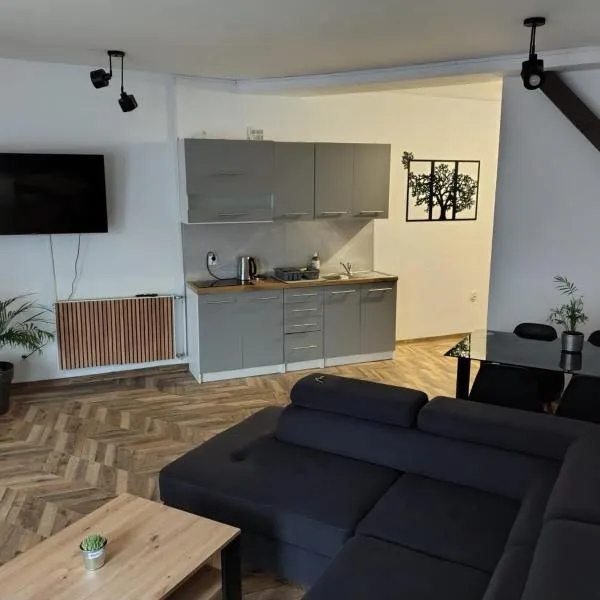 Apartament Lewi, hotel in Głuchołazy