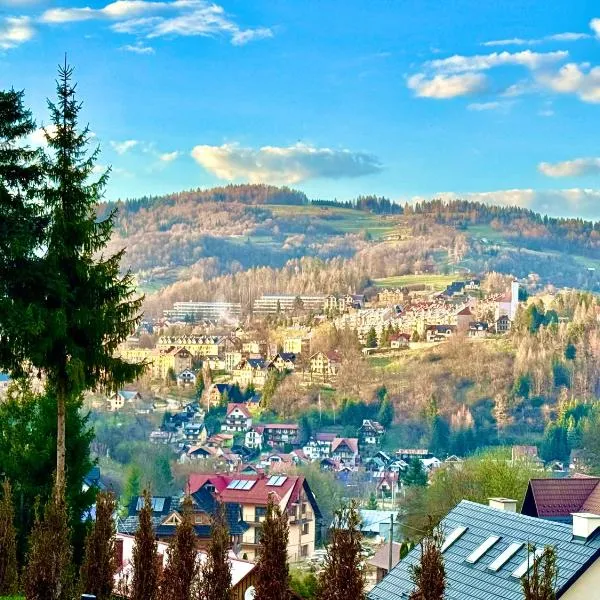 Villa Szczawnica, hotel in Szczawnica