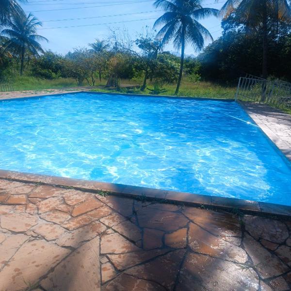 Sítio do patinhas - Foto 4
