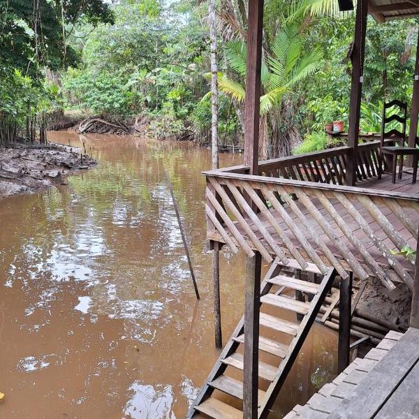 Ilha do Combu Belém Amazônia - Casa Combu Criativo - Foto 5