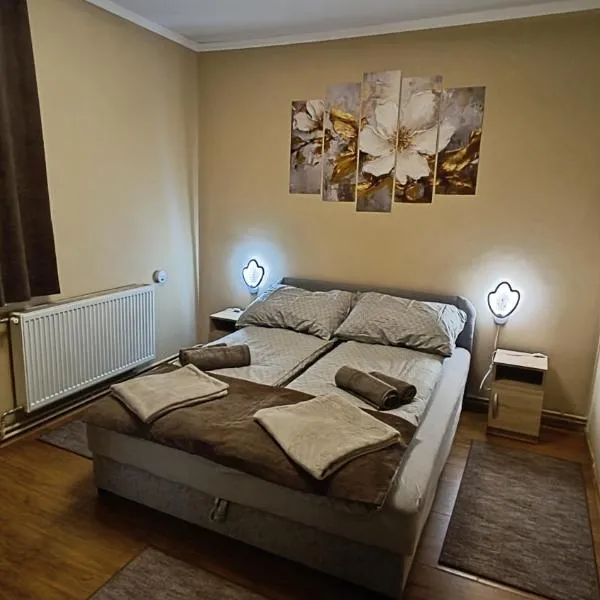 DebRentZen Station Apartman - business plus, отель в Дебрецене