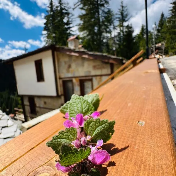 Комплекс БОЖИДАРИЦА, hotel v destinaci Progled