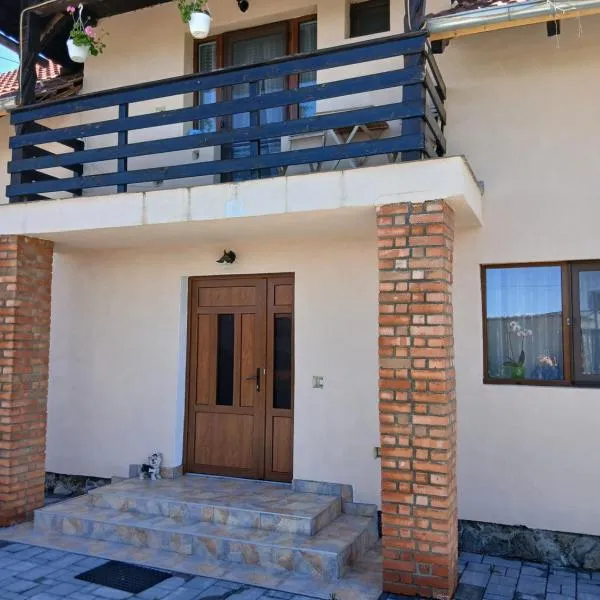 Casa Loredana, hotel v destinaci Cîrţişoara