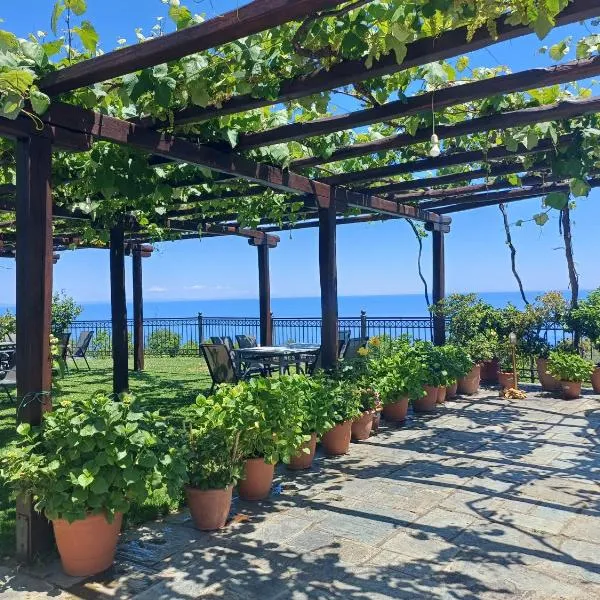 Olga Studios، فندق في تساغارادا